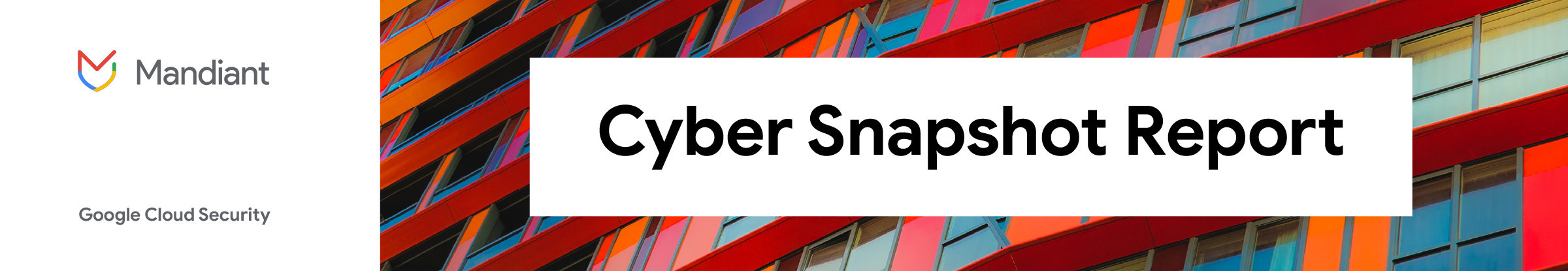 Cyber Snapshot Report