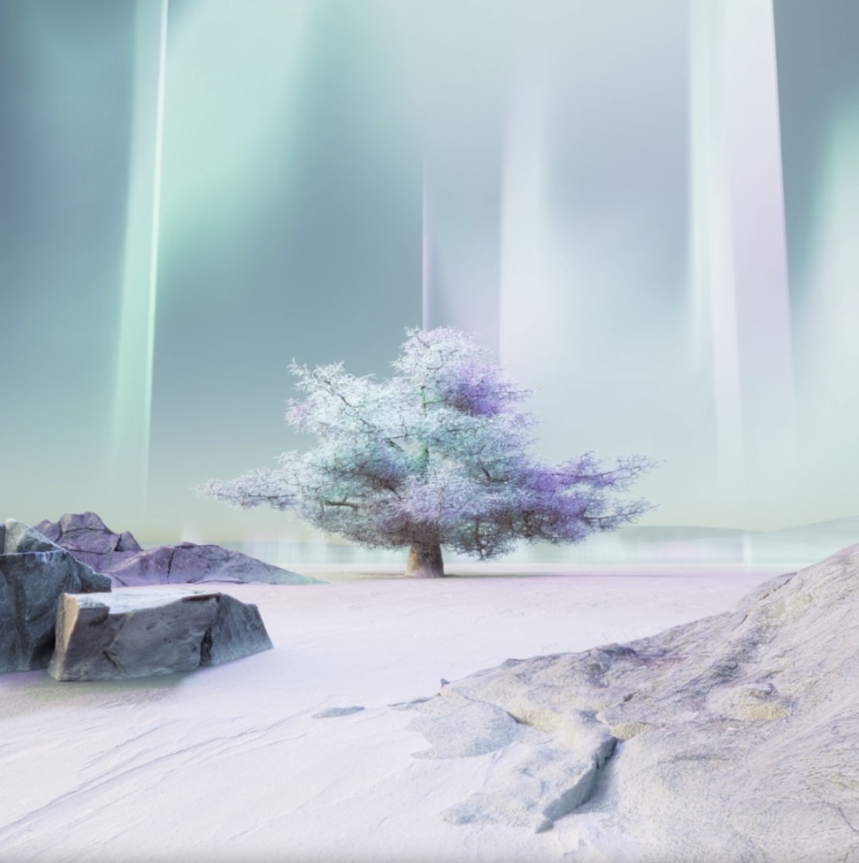 Foto illustrativa dell'aurora boreale sopra un albero